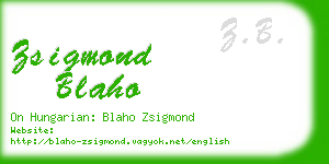 zsigmond blaho business card